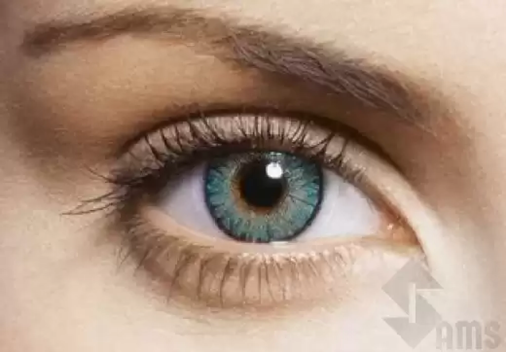 Freshlookcontact lenses Turquoise.webp